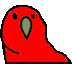 PAWWOT logo