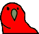 PAWWOT logo