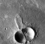 mooncock