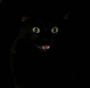 VOID