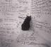 thesis cat logo