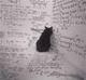 thesis cat logo