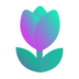 Tulip logo