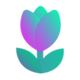 Tulip logo