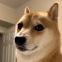 Token icon
