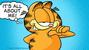 GARFIELD