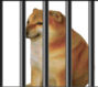 JAIL