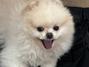 Casper