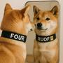 RUOF