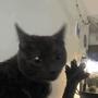 4CAT