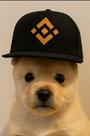 PUP