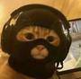 CS猫