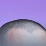 聪明绝顶