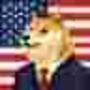 doge ai