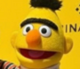 Bert