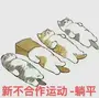 躺﻿平