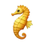 SEAHORSE