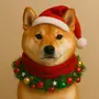 SHIBAX
