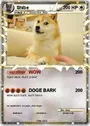 SHIBE