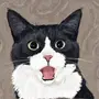 Debot之父