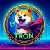 TronAkita logo
