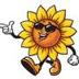 Sunflower logo