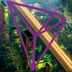 Official TRX Song logo