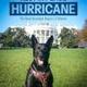 Hurricane logo