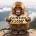 GunSun logo