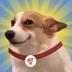 Reverse SunDog logo