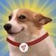 Reverse SunDog logo