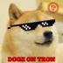 DogeOnTron logo