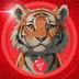 Tiger Sun logo