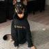 Binance Dog logo