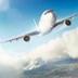 SAFE FLIGHT logo