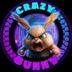 CrazyBunny logo