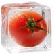 tomato logo