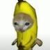 Banana cat logo