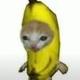 Banana cat logo