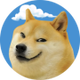 RON logo