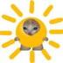 sunchee logo