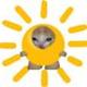 sunchee logo