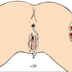 CREAMPIE logo