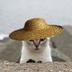 sunhat in the cat logo