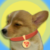 SUNPUP logo