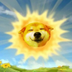 Dog in the sun logo