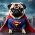 SUPER PUG logo