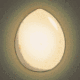 SUNEGG logo