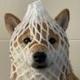 wrapped dog logo
