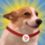 العملة الرمزية Sundog